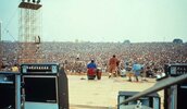 Acoustic-At-Woodstock.jpg