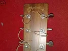 d 16 headstock.webp