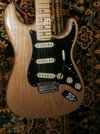 - Stratocaster Professional Nature