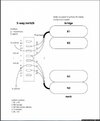 36_BoltPlusWiringDiagAnnotated2_1.jpg