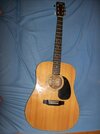 Akustikgitarren 001.jpg