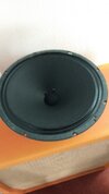 Twinsound Cream Alnico