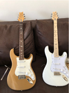 Silver Sky, Maple- u. Rosewood-Neck Version (mit Video)