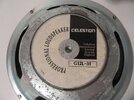 04-Celestion G12L-35 (4).JPG