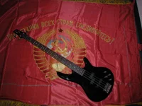 DSCN4064.webp