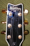 washburn_headstock.jpg