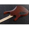 ibanez_rg_421cw_cnf_body_rear.jpg