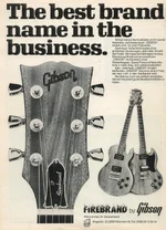 Gibson Firebrand0094.webp