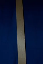 neck.webp