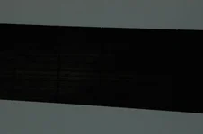 griffbrett2.webp