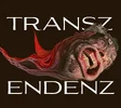 TRANSZENDENZ.webp