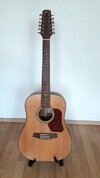 Walden D552T Natura 12-string Dreadnought