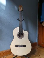 P1010319.webp