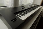 Roland DS-88