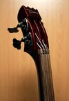 Headstock 1.jpg