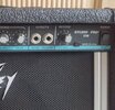 peavey2.jpg