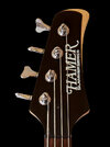 hamer_headstock.jpg