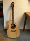 Takamine 2000 LTD.JPG