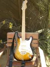 aa esche strat_360x480.webp