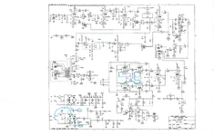 peavey delta blues check.webp