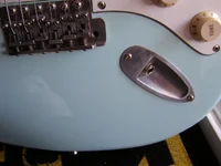 P4260034.webp