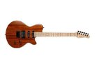 [Suche]: Godin Exit 22 mit Maple Neck (Griffbrett)