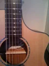 Breedlove03.webp