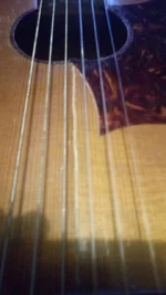 IMG_20220515_211053.webp