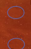 FACAF57C-EC7D-4862-AEE2-86CC9BB63D91.jpeg