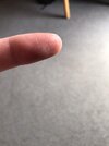 IMG_0049.jpeg