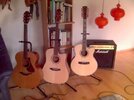 Lowden S5, Takamine EF-340SCNS, Cort CJ-10X-12 Jumbo Cutaway.jpg