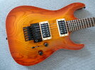 ESP Horizon Custom Guitars + Koffer