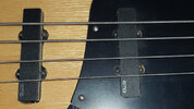 bass 08.jpg