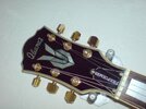 Ibanez Performer CS4.jpg