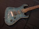 bluesnake05.jpg