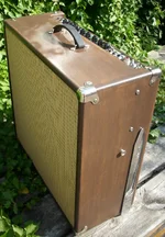 Ebayamp 051.webp