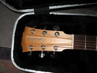 IMG_0031_800x600.webp