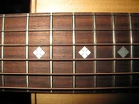 IMG_0037_800x600.webp