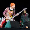 red-hot-chilli-peppers flea.jpg
