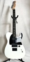 Fender Jim Root Telecaster Flat White