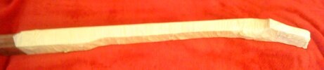 DSC00054.JPG