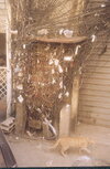 beirut2.jpg