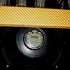 Marble Clubreverb Speaker.jpg