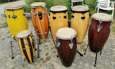 Congas-alle_ohne-Staender.jpg