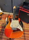 FGN Expert Jozsi Lak Farbgebung mit Kloppmann PU