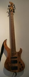 Verkaufe E-Bass: Esh Various V