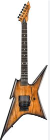 SUCHE BC Rich Ironbird pro Spalted Maple