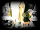 03-Fender noventa P1010043.JPG 03-Fender noventa P1010043.JPG