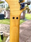 IMG_4533.jpeg