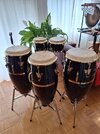 LP Galaxy Bongos / Conga Set